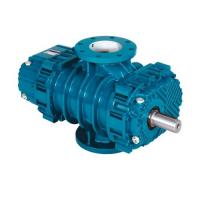 Воздуходувка роторная промышленная Robuschi ROBOX RBS 145